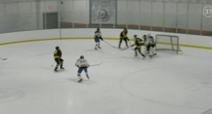 Read more about the article Knights sweep season series against Lions